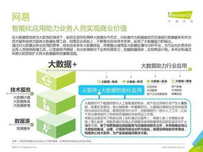 2016年中国数据驱动型互联网企业大数据产品研究报告
