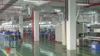 数字赋能，精准破局 安康运用大数据互联网为贫困户打通脱贫新路径